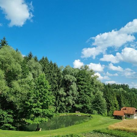 Holiday House Apartment Voukov Mlin Smarje pri Jelsah Exterior photo