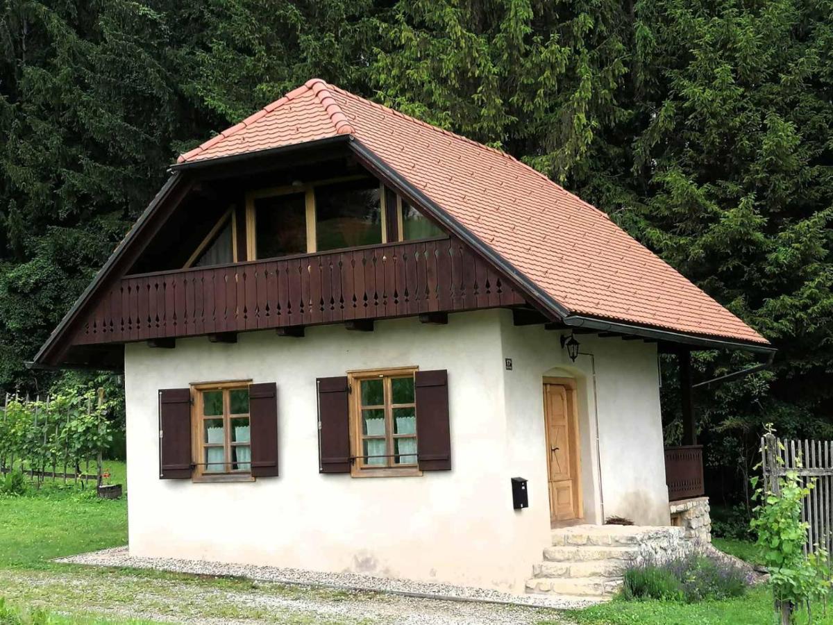 Holiday House Apartment Voukov Mlin Smarje pri Jelsah Exterior photo