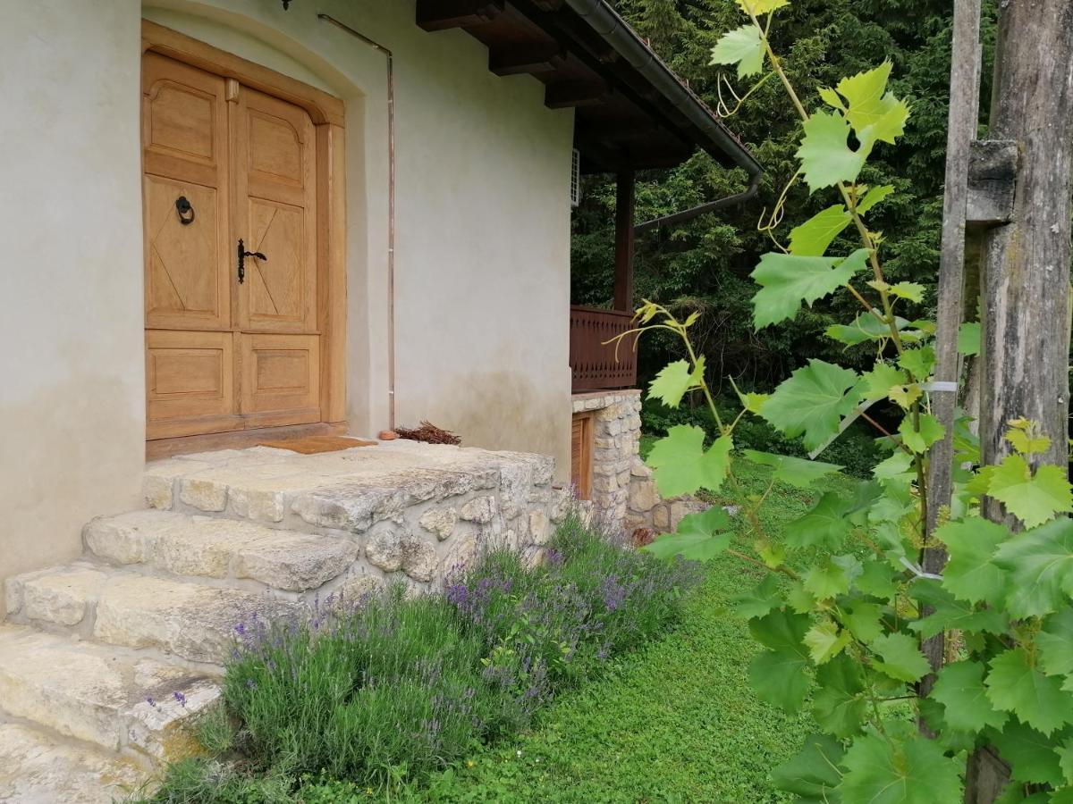 Holiday House Apartment Voukov Mlin Smarje pri Jelsah Exterior photo