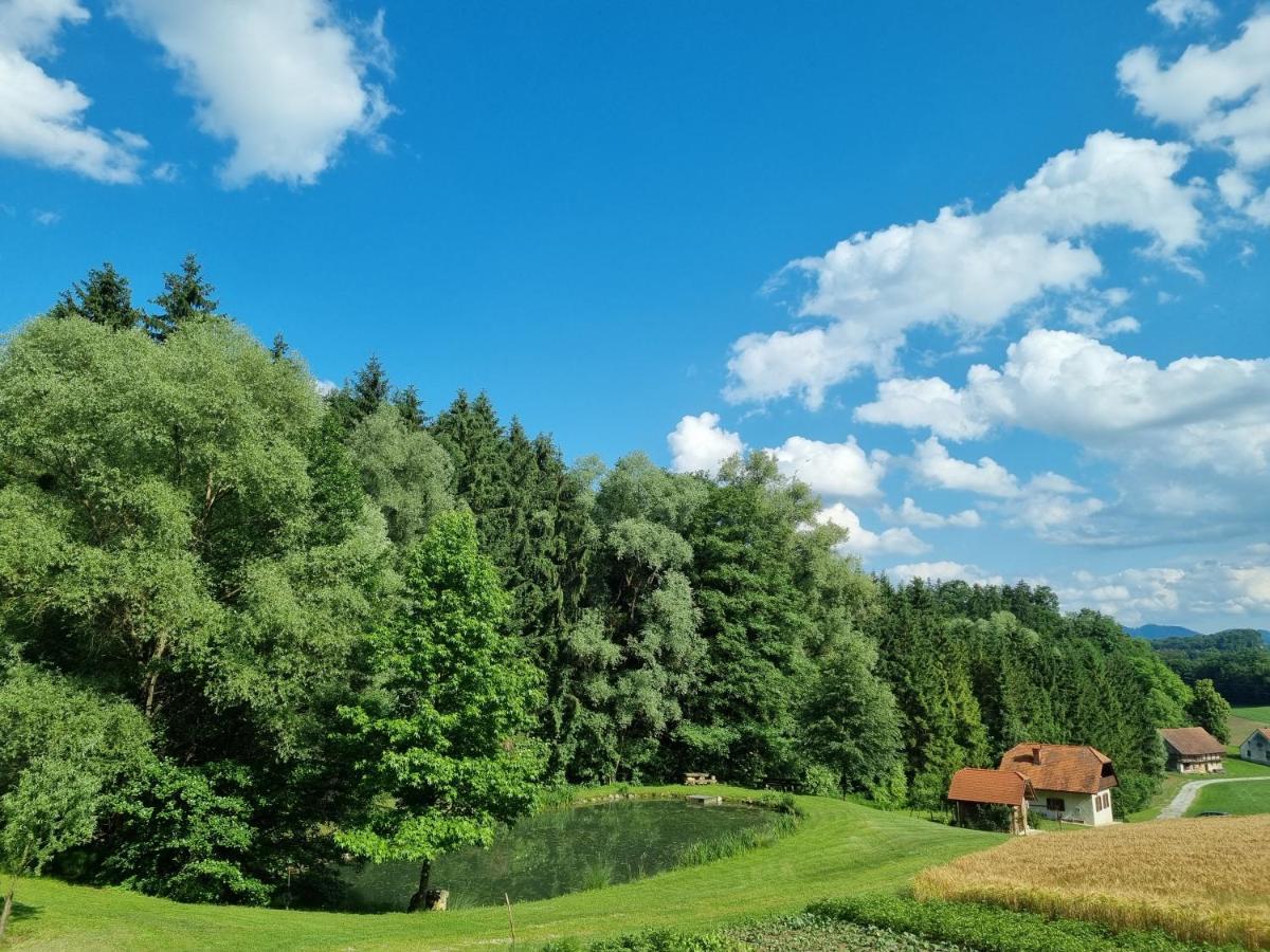 Holiday House Apartment Voukov Mlin Smarje pri Jelsah Exterior photo